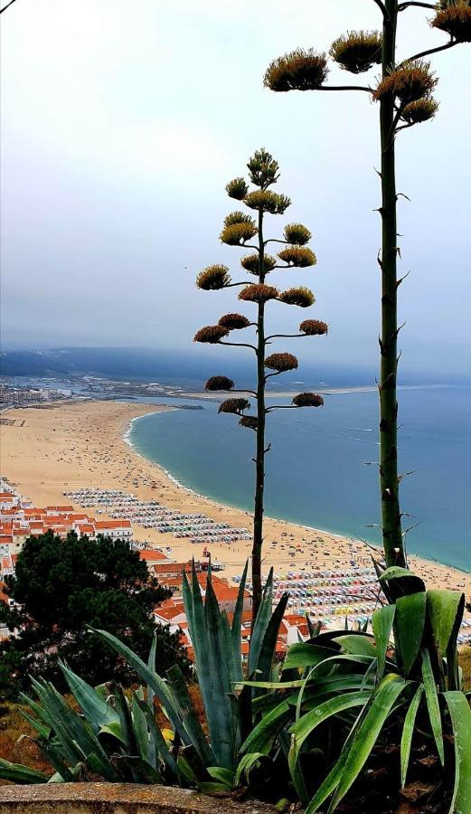 Alojamento Madeira Apartment Nazaré Exterior foto